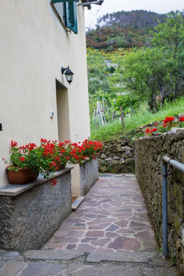 Casa Vacanze Tra Le Mura Levanto Zewnętrze zdjęcie