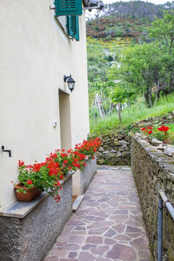 Casa Vacanze Tra Le Mura Levanto Zewnętrze zdjęcie